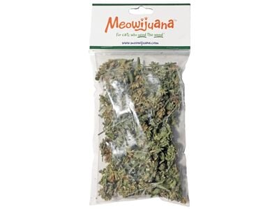 A New Kind of Catnip Company